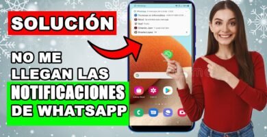 ¿Cómo hacer para que aparezcan las notificaciones en mi celular?